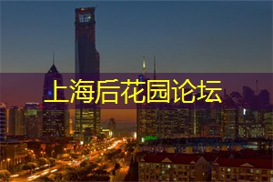 以其繁华和现代化闻名于世